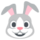 :rabbit: