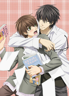 Лучшая в мире первая любовь / Sekaiichi Hatsukoi