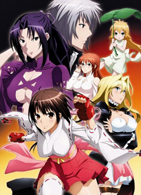 Сэкирэй: Венчание (Special) / Sekirei: Pure Engagement  Special